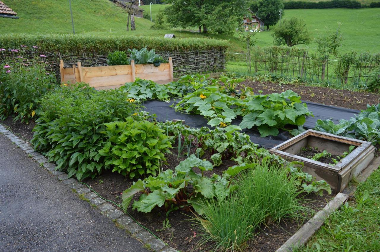 BnB-Blomberg Ebnat-Kappel Exterior foto